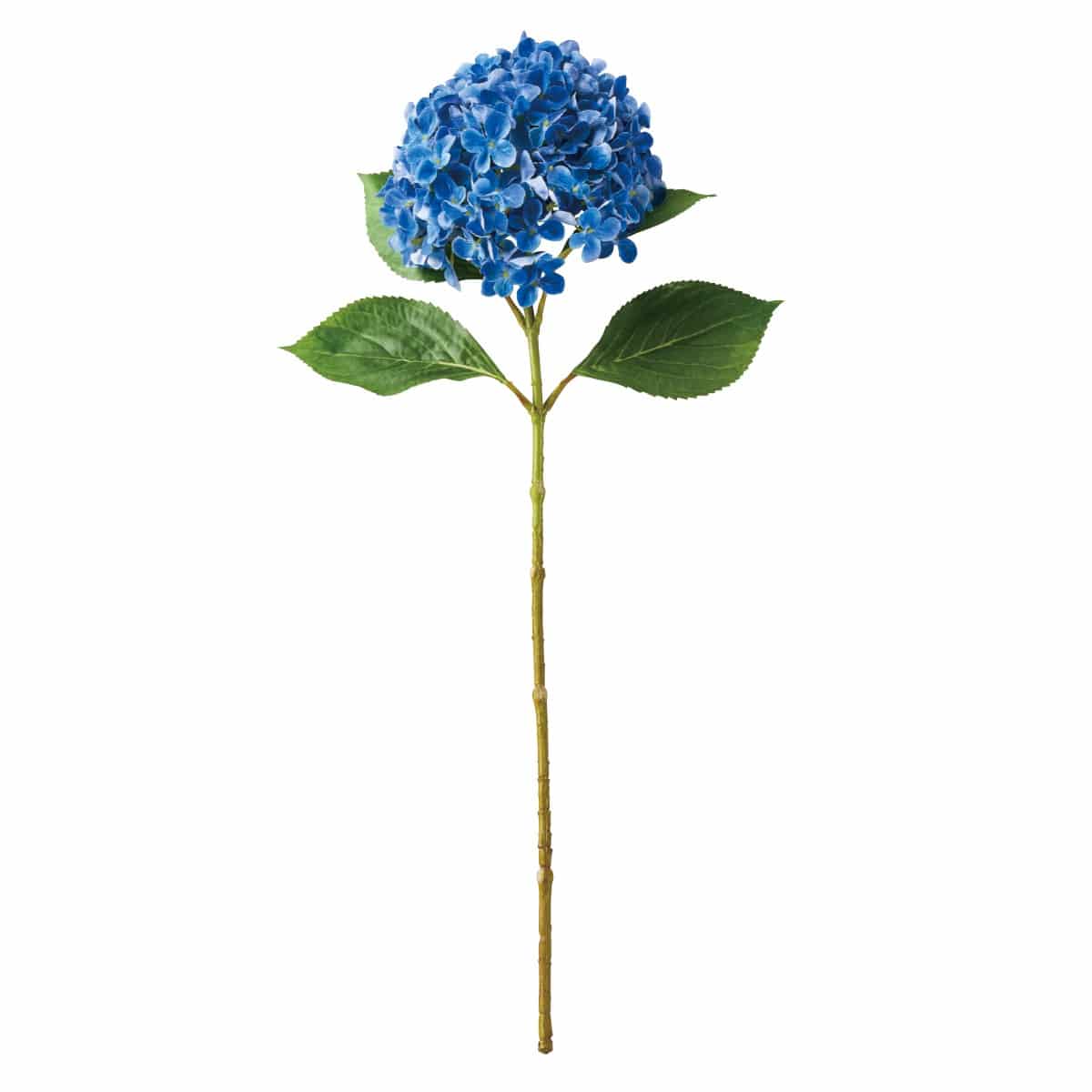 (4)ディープブルー