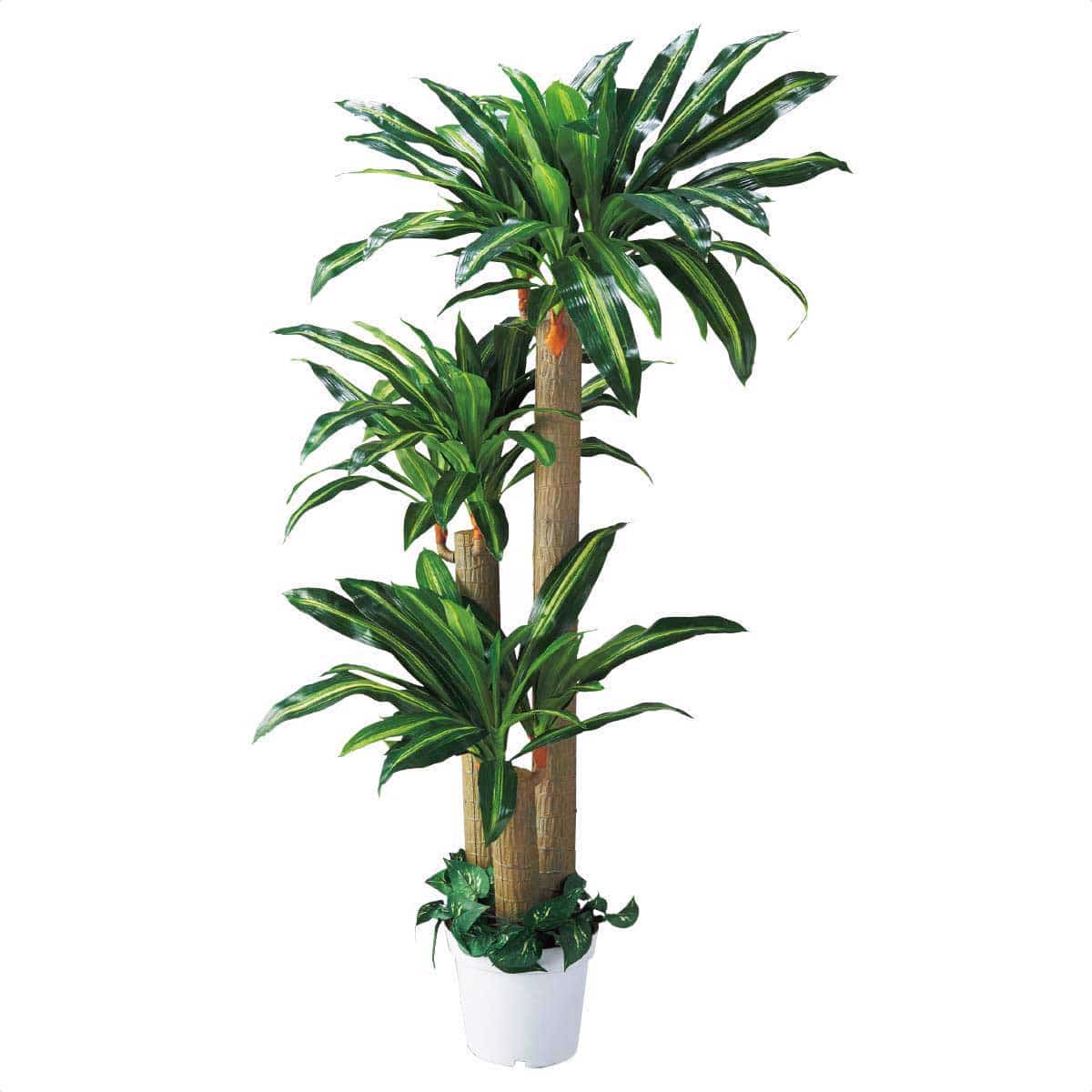 人工樹木【幸福の木】 180cm［ストエキオリジナル］