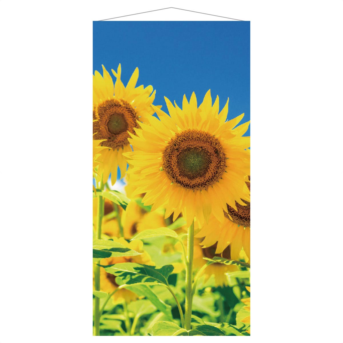 タペストリー ひまわり