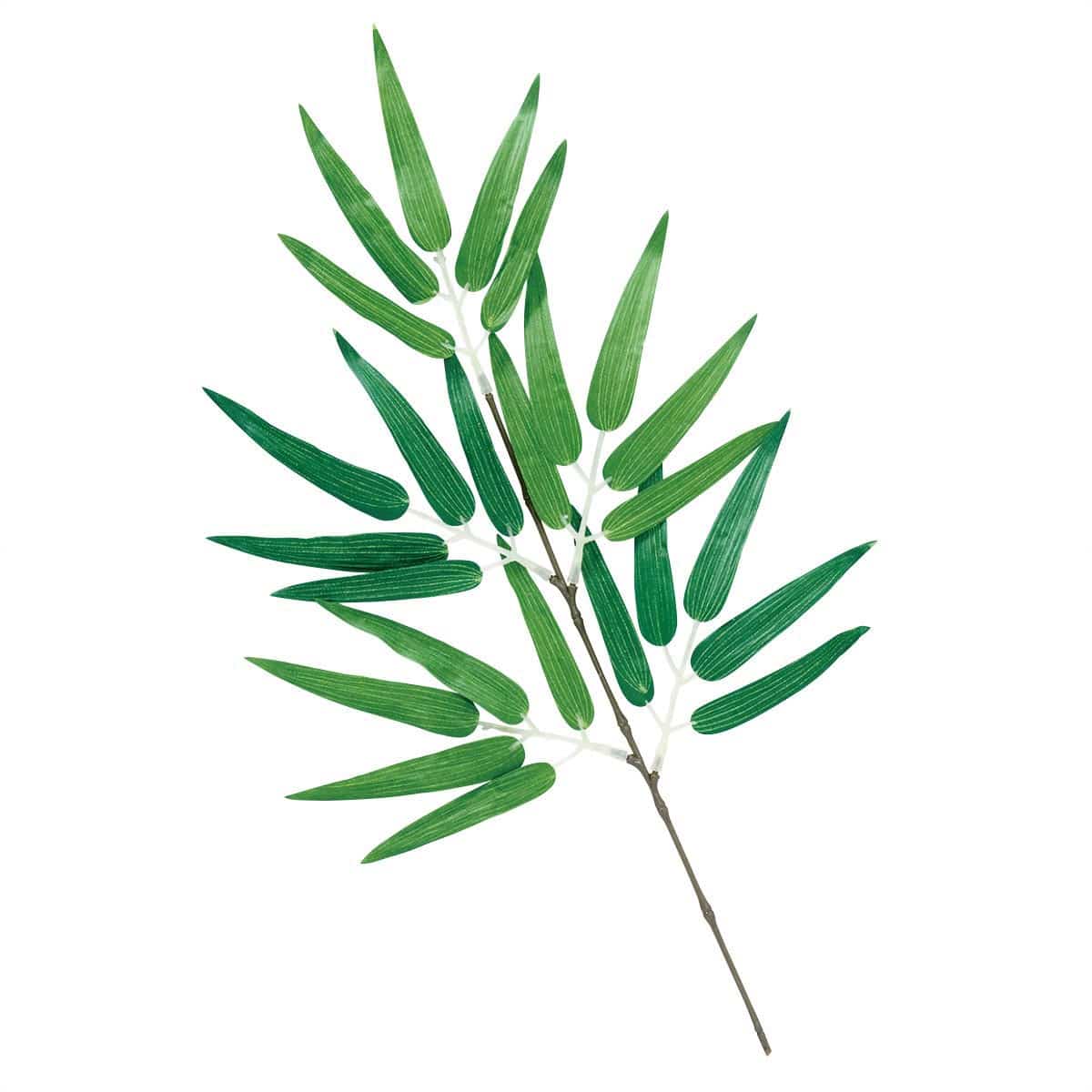 24本 七夕笹 バンブースプレー 41cm