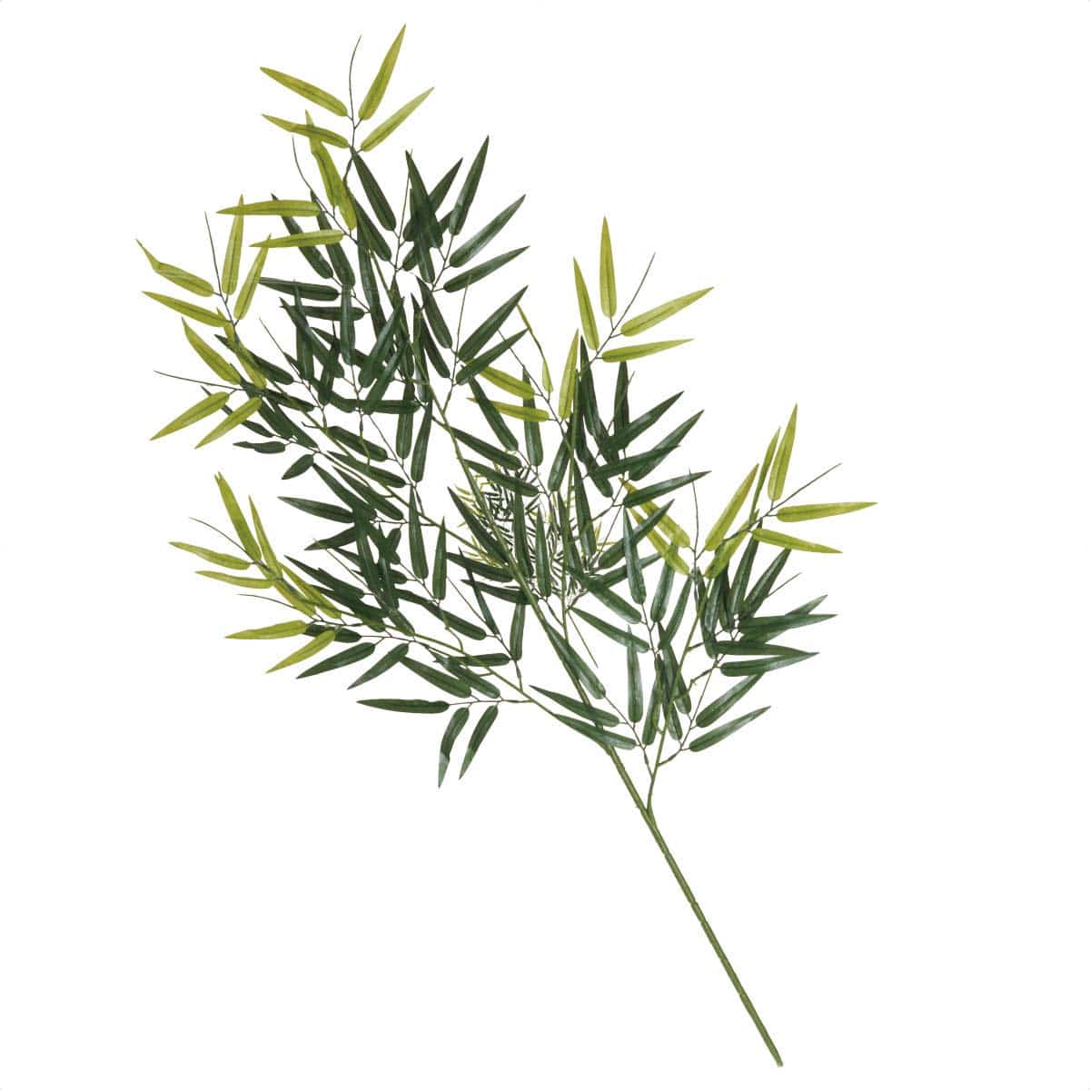 七夕笹 バンブー大枝110cm