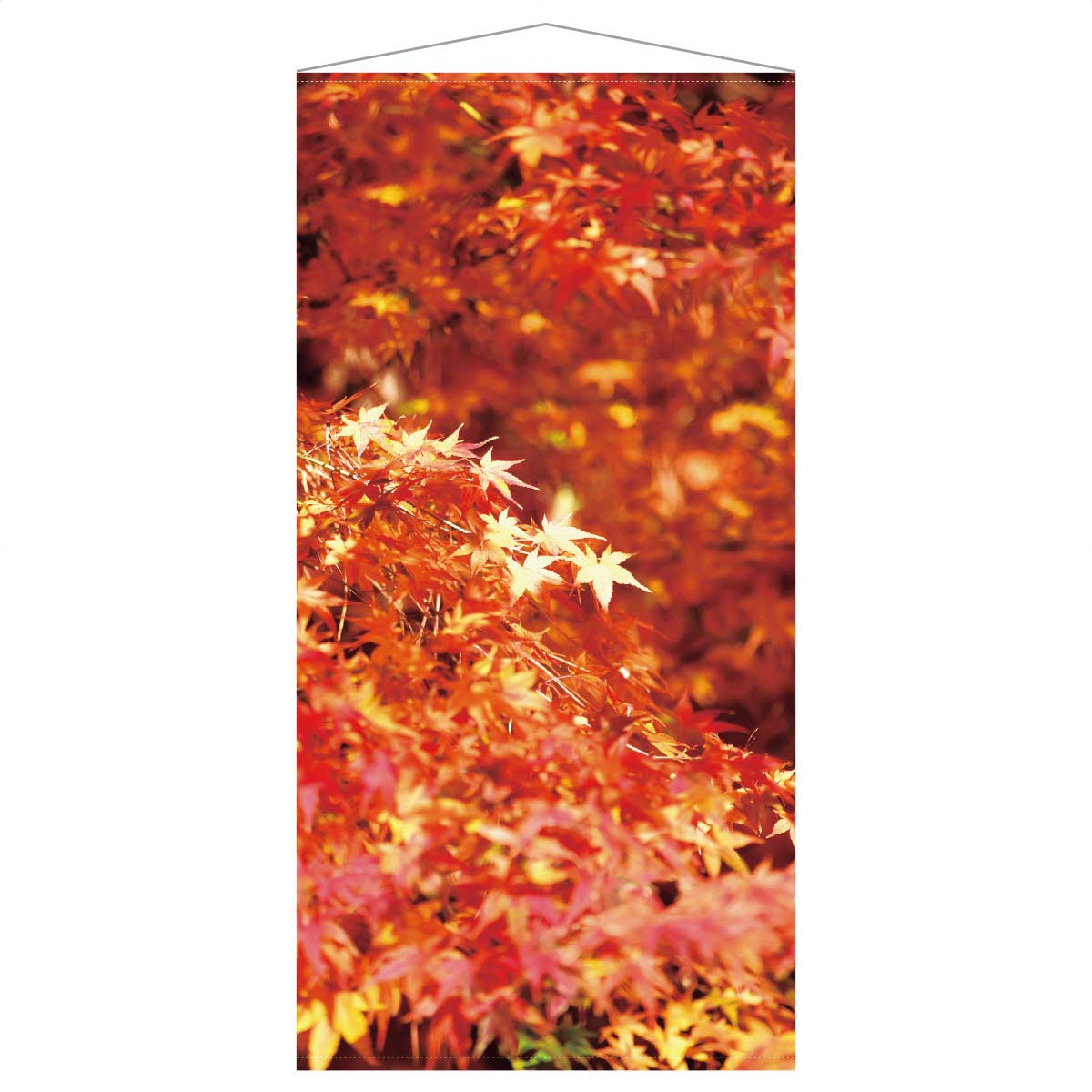 秋タペストリー 赤紅葉