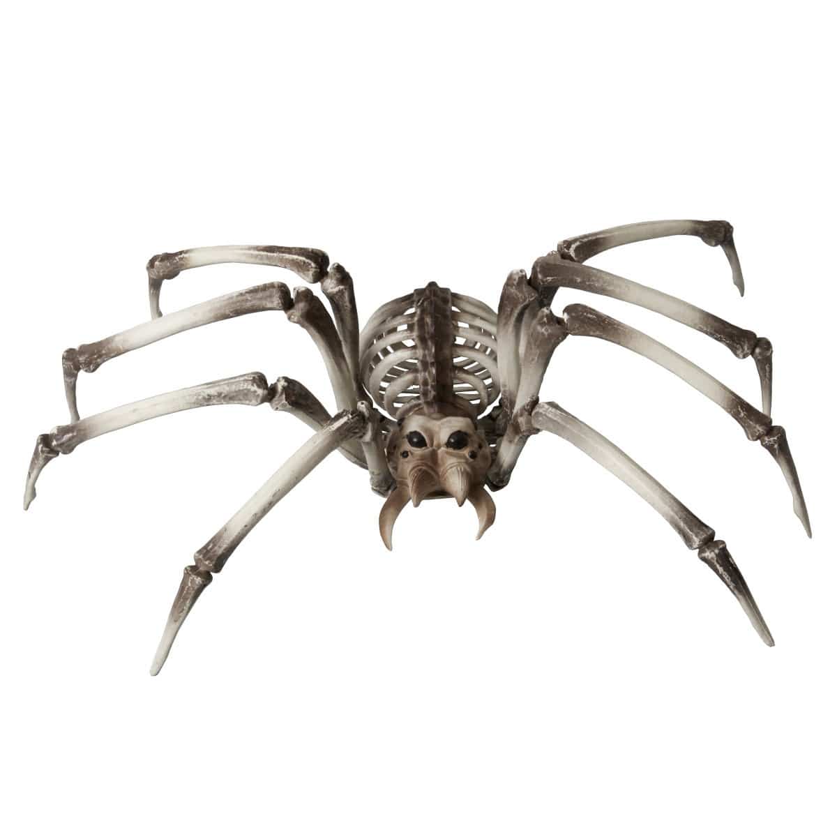 ジャイアントボーンスパイダー幅81cm