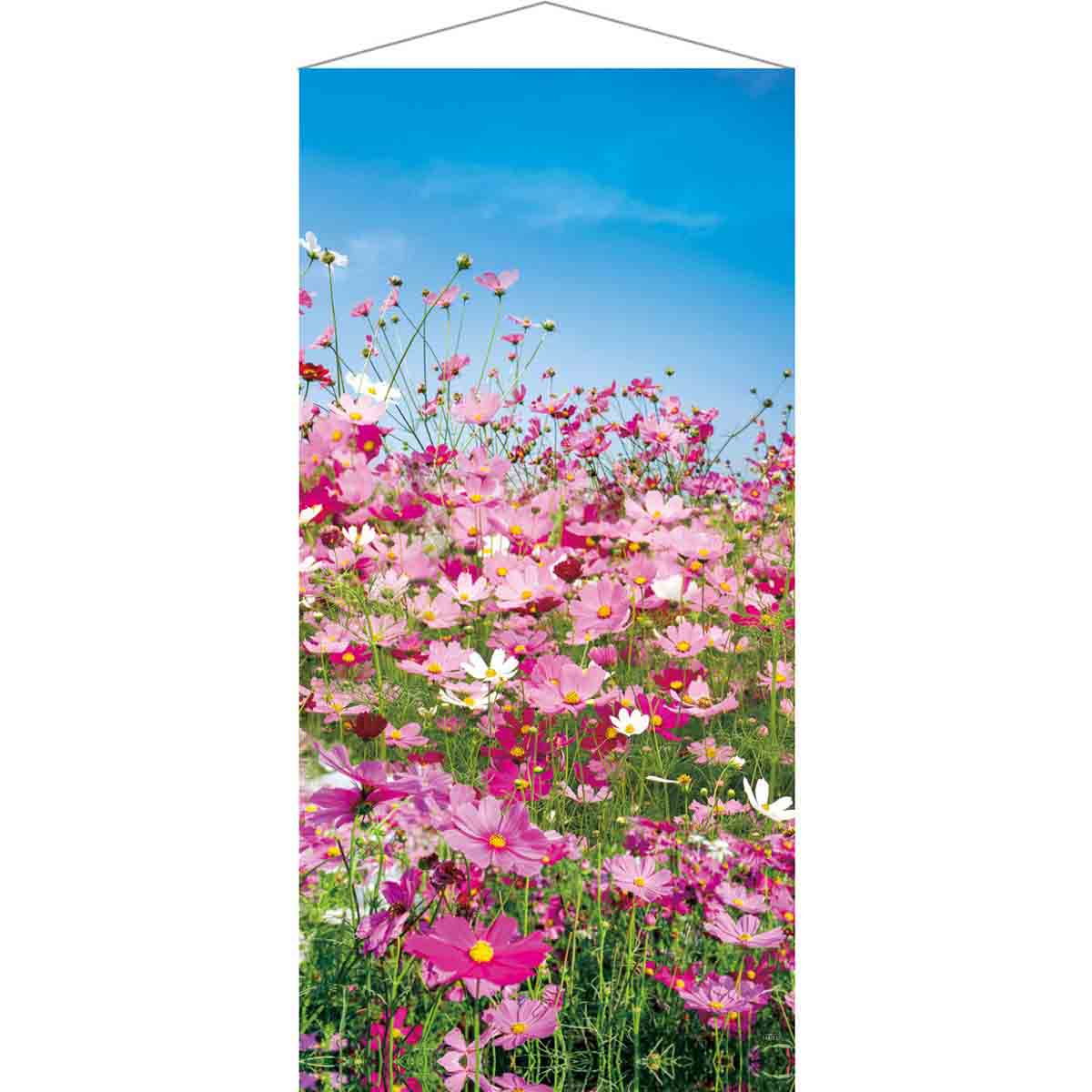 秋タペストリー コスモス 90×180cm