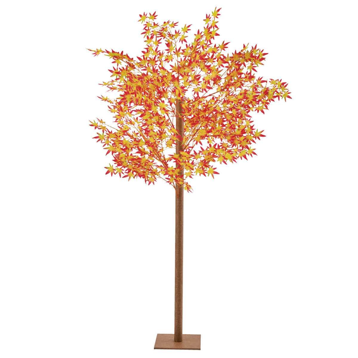 紅葉立ち木200cm