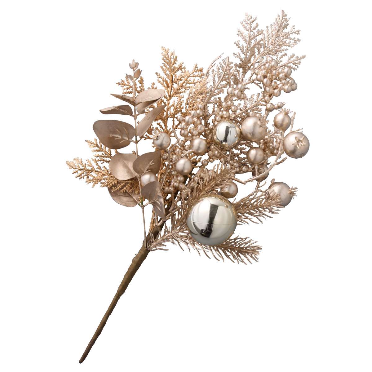 シャンパーニュボールブッシュ