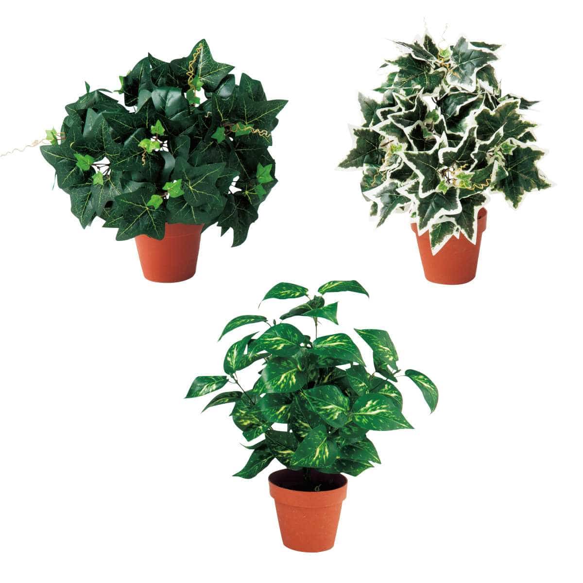 【3個】グリーンブッシュポット (フェイクグリーン)〔ストエキオリジナル〕