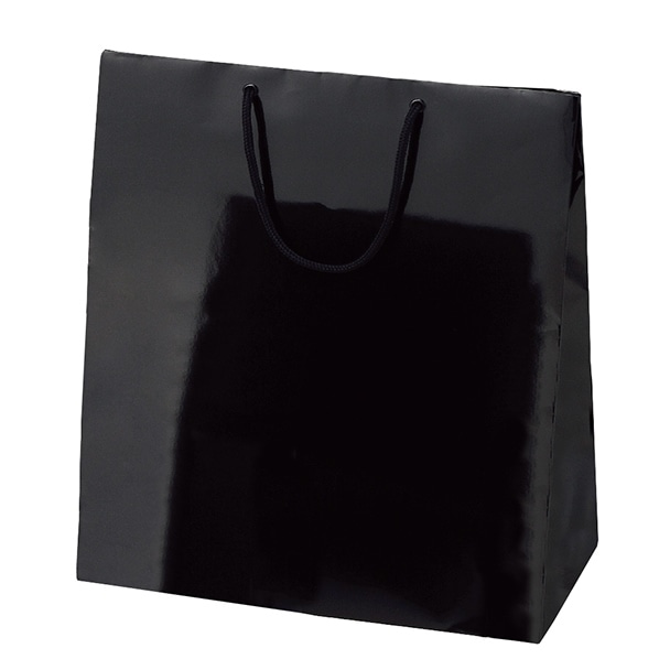 (10)33×10×45cm(10枚)