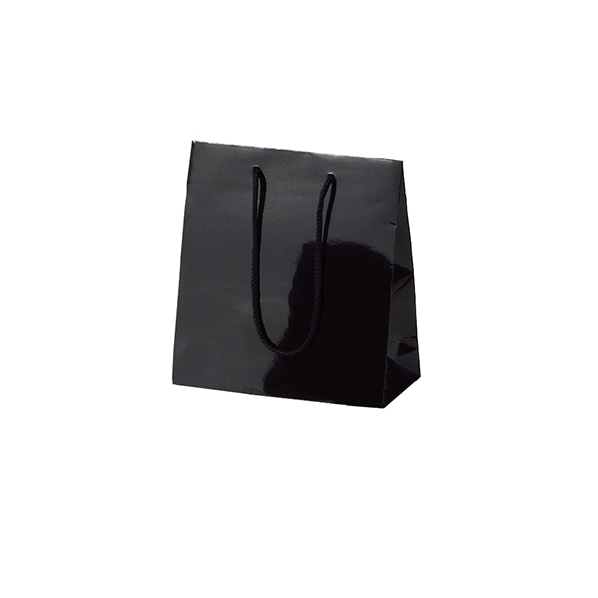 (5)17×8.5×23cm(10枚)