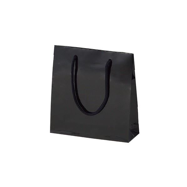 (6)18.5×6.5×24cm(10枚)