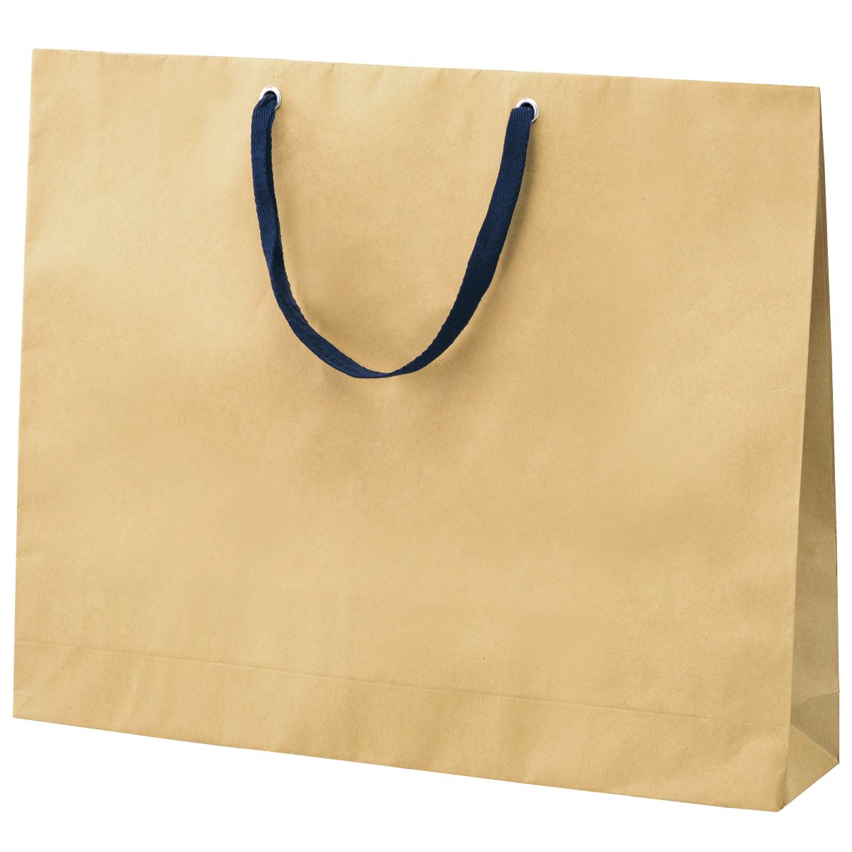 (3)52×10×42cm 50枚