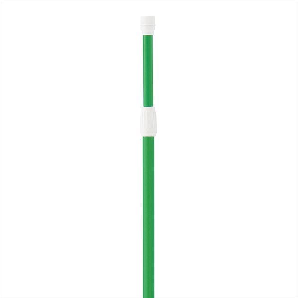 (2)緑