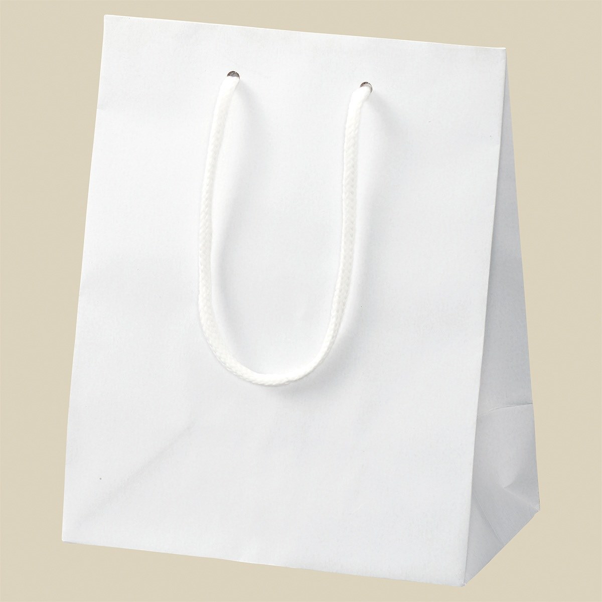 カラー手提げ紙袋 スノーホワイト 20x12x25cm 【通販】ストア・エキスプレス