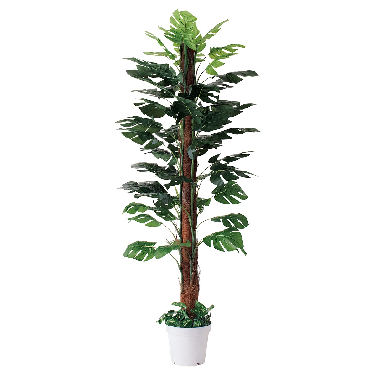 フェイクグリーン 観葉植物 フェイク 人工観葉植物_ベンジャミングリーン 人工樹木 H180cm 1台_61-752-67-1_8724-4300