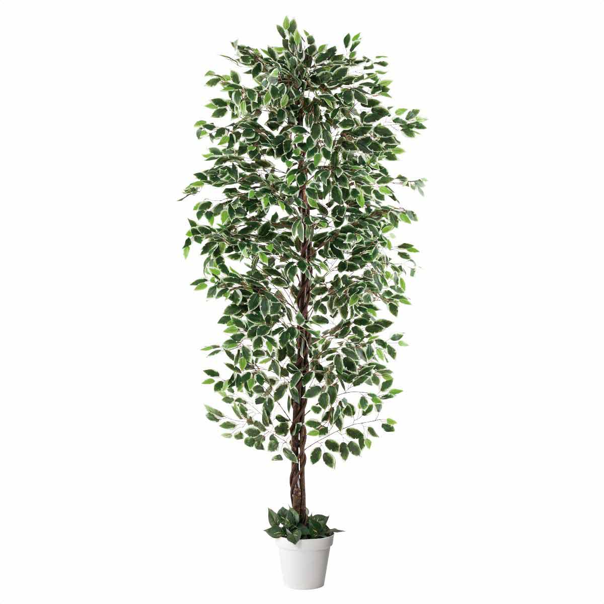立ち木 人工樹木 高さ210cm フェイクグリーン 人工観葉植物 ..., 画像サイズ:1200x1200