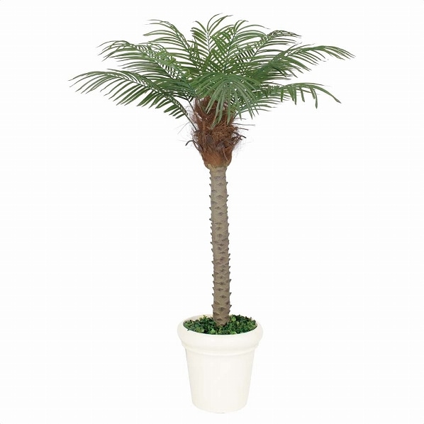人工樹木 フェニックス フェイクグリーン 210cm 1台
