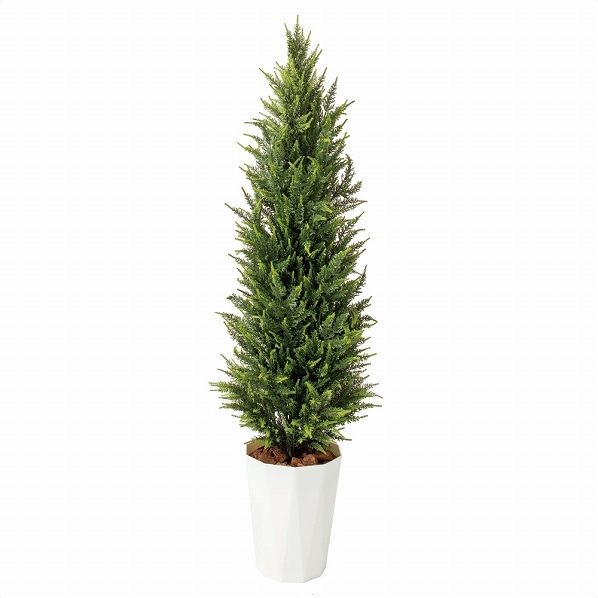 人工樹木 ゴールドクレスト ゴールド フェイクグリーン 170cm1台