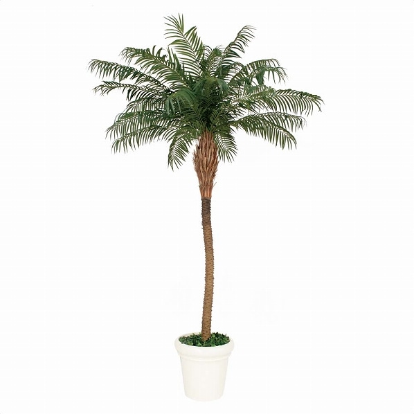 人工樹木 フェニックス フェイクグリーン 250cm 1台
