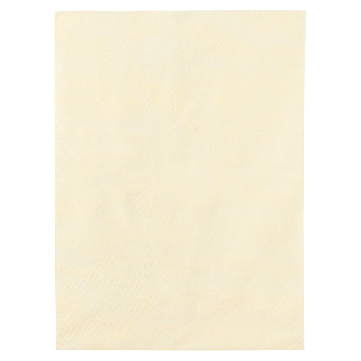 100枚】不織布 インナーバッグ 薄タイプ 白 30x40cm 【通販】ストア・エキスプレス