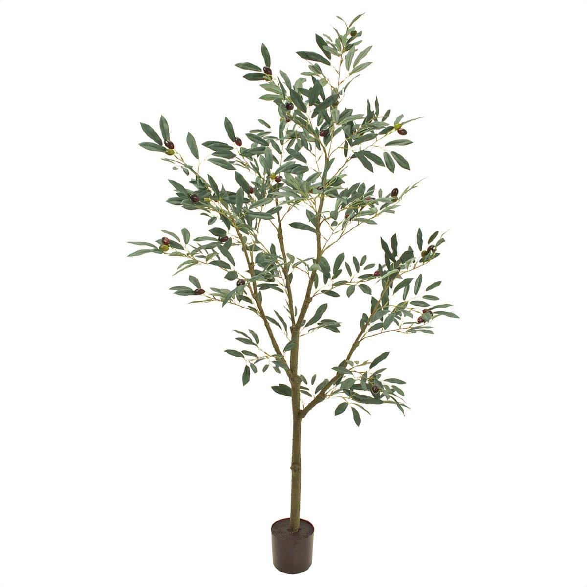 オリーブツリーポット　高さ150cm