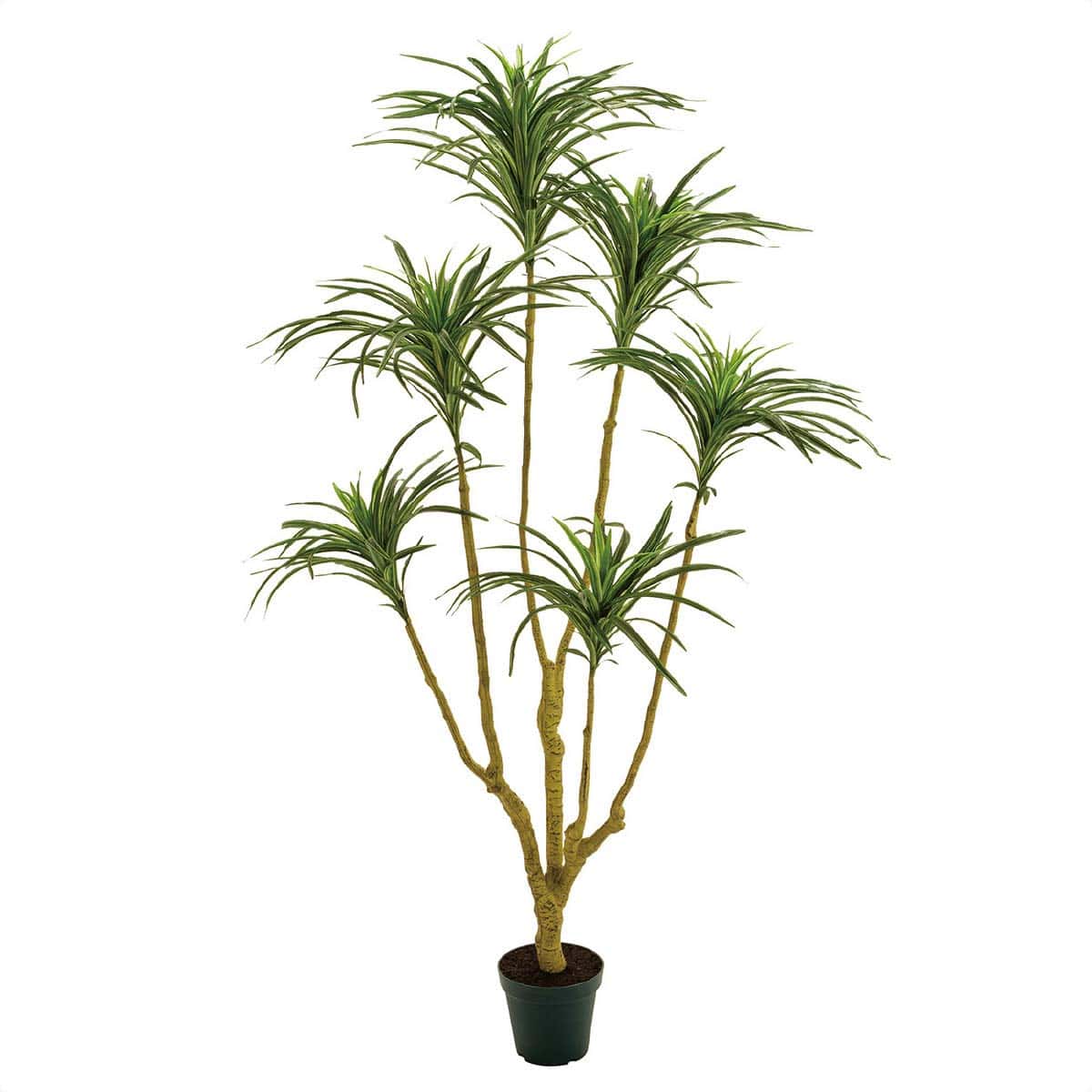 ユッカプラント 高さ135cm