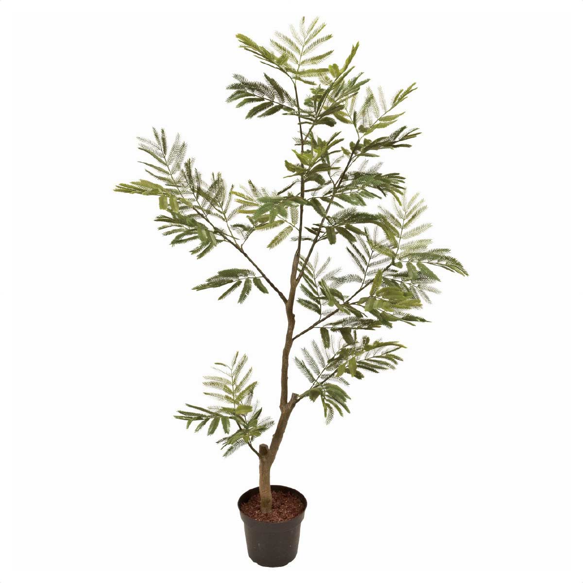 エバーグリーンポット 高さ150cm