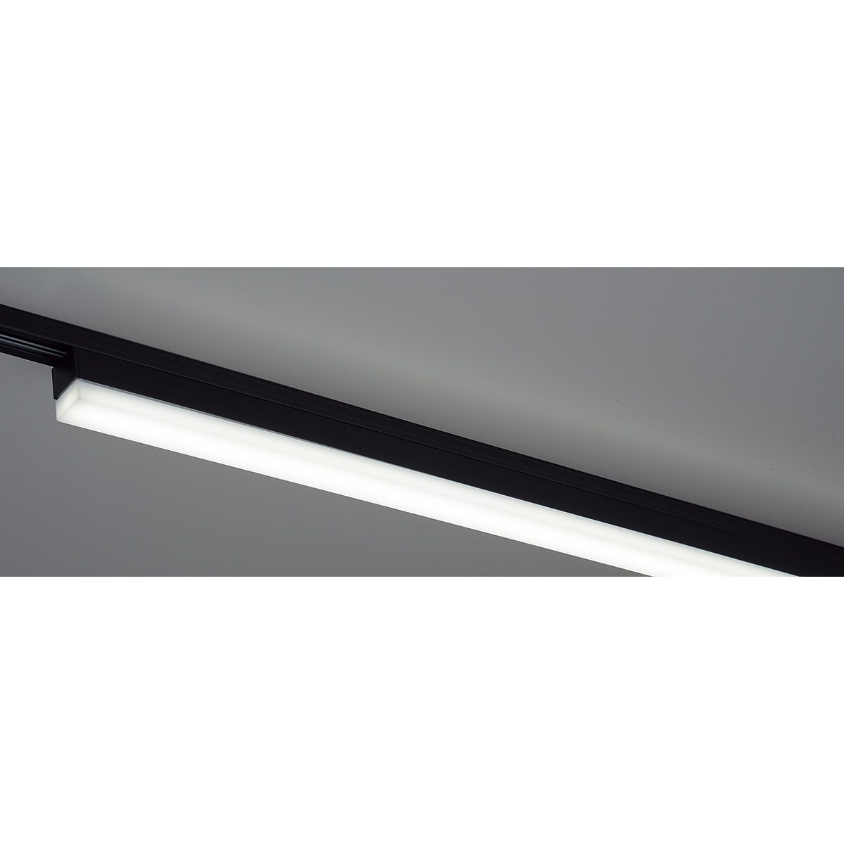 (2)昼白色ブラック