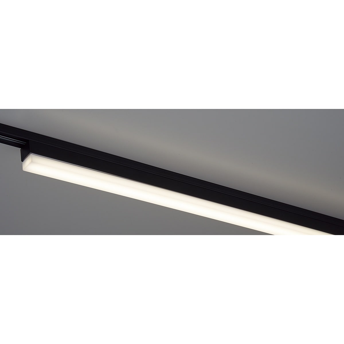 (4)白色ブラック