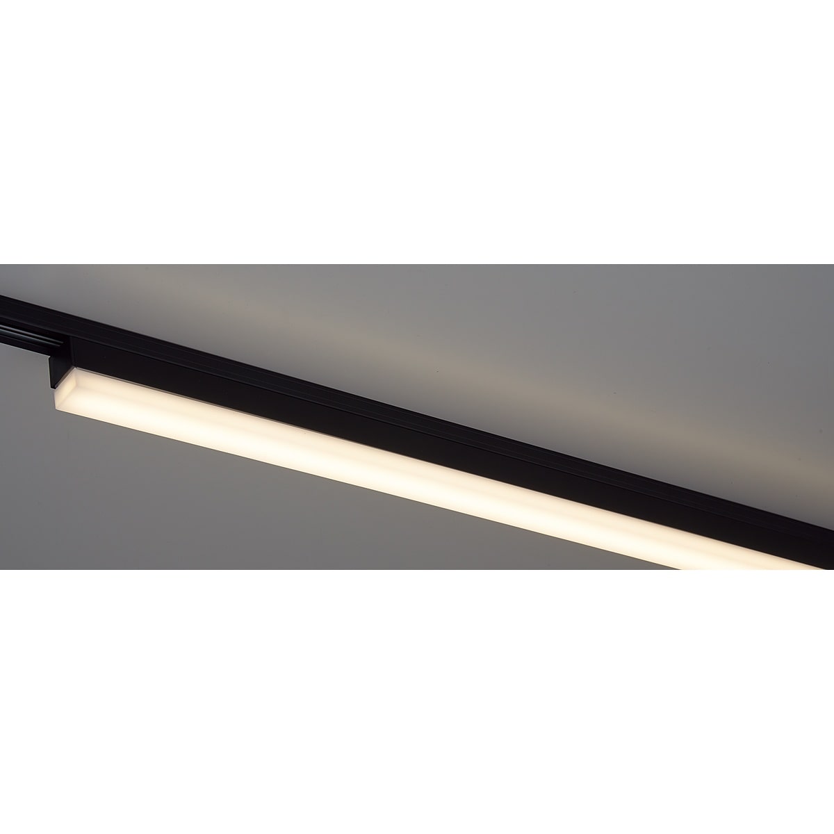 (6)温白色ブラック