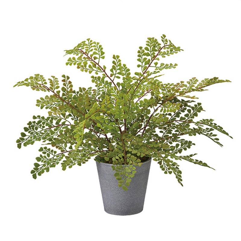 フェイクグリーンポット アジアンタム