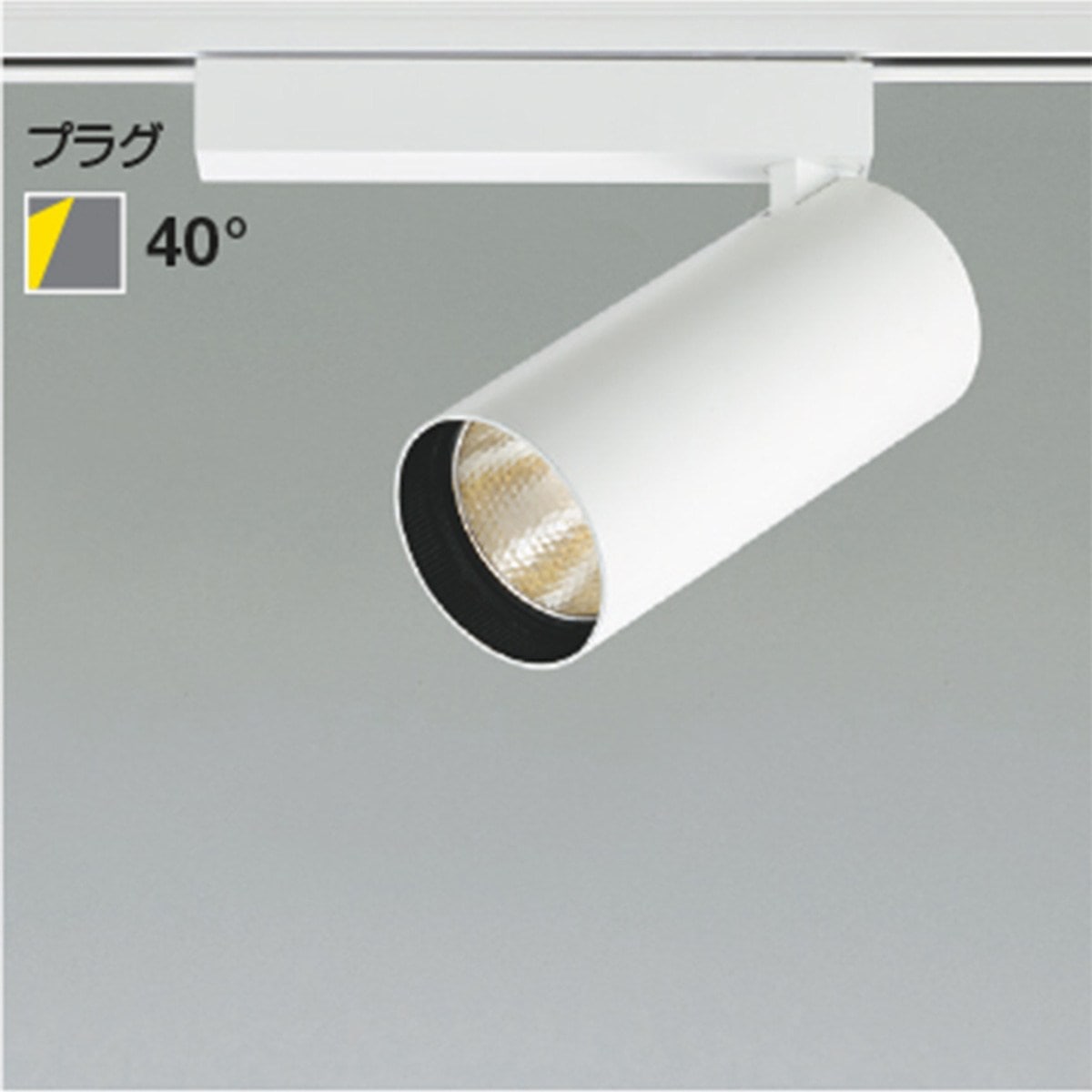 (3)電球色 ホワイト