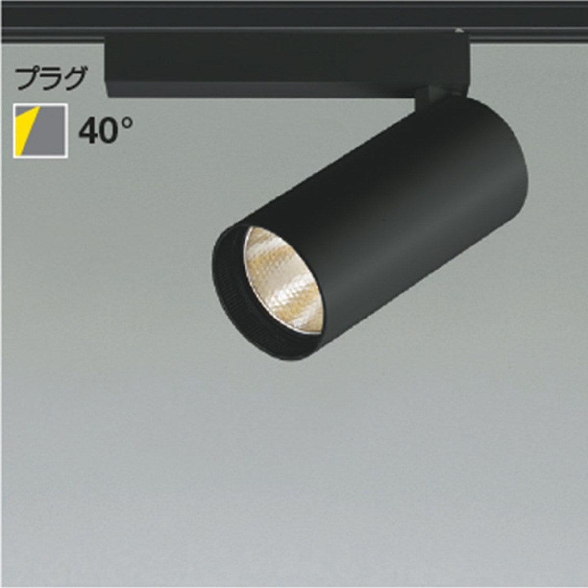 (4)電球色 ブラック