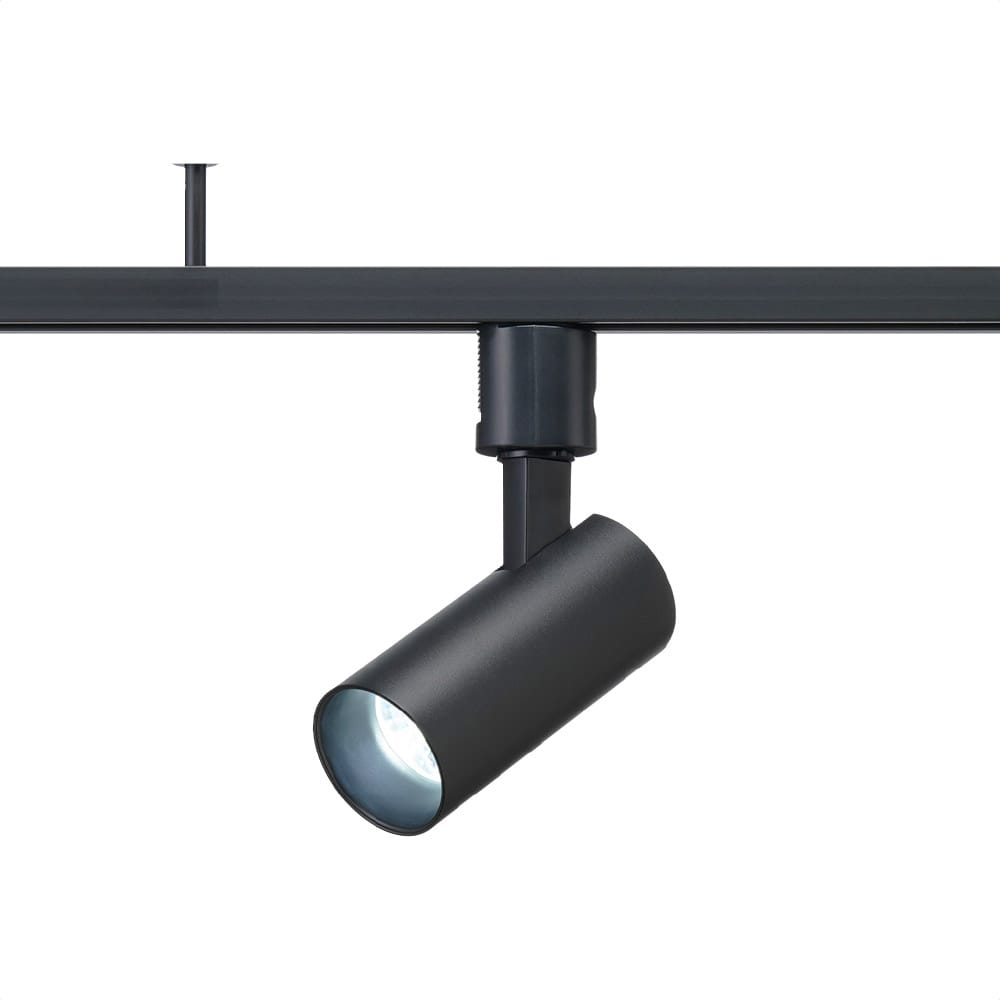 (2)昼光色ブラック