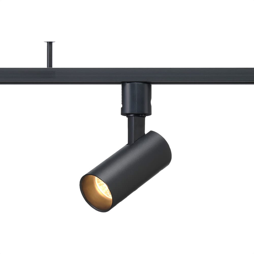 (4)電球色ブラック