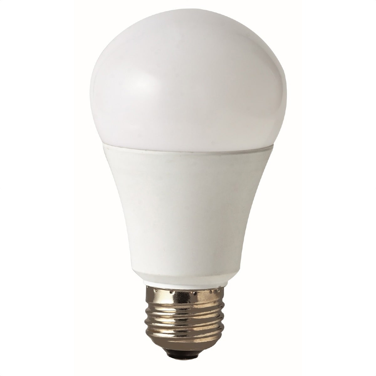 (6)100W相当 電球色