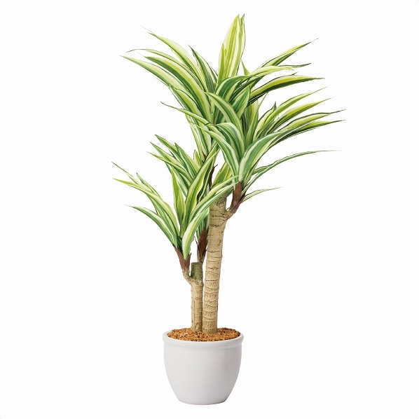 ドラセナ 人工樹木 フェイクグリーン 人工観葉植物: 店舗装飾用品