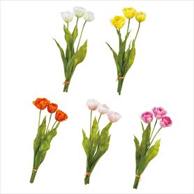 メリルチューリップバンドル 1束