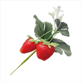 12本フレッシュストロベリーピック(造花)