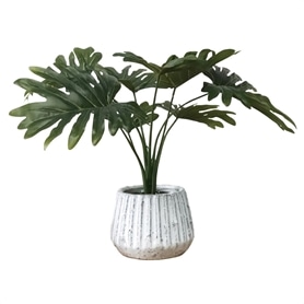 ナビール グリーンポット