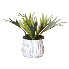 ナビール グリーンポット