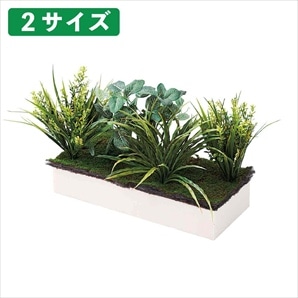プランターボックス専用植栽〔ストエキオリジナル〕