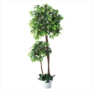 人工観葉植物ベンジャミンダブル〔ストエキオリジナル〕
