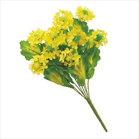 菜の花ブッシュ