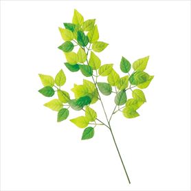 グリーンリーフセット