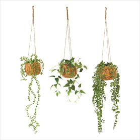 ハンギング グリーンバスケット