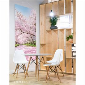 タペストリー 川辺の桜 【防炎加工】 