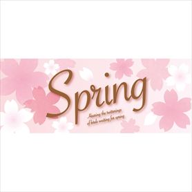 10枚 パラポスターPOP さくらスプリング