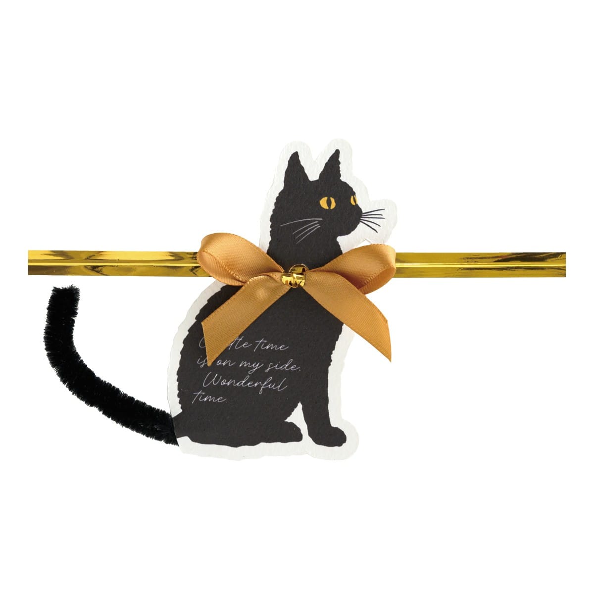 10個 ワイヤータイ ブラックキャット