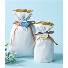 梨地リボン付きギフトバッグ ホワイト［ストエキオリジナル］