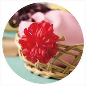 20個 カーネーションクリップ